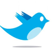 Image for article titled You Can Now Shorten Your Links on Twitter.com